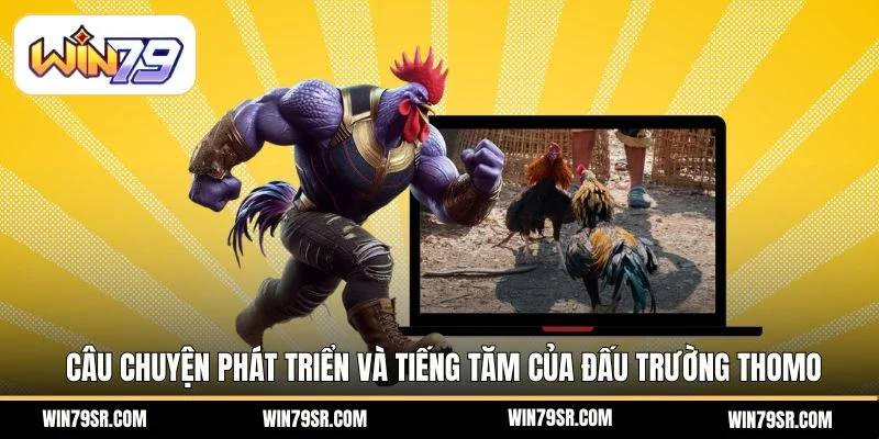 Câu chuyện phát triển và tiếng tăm của đấu trường Thomo