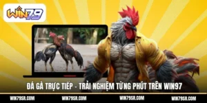 Đá gà trực tiếp