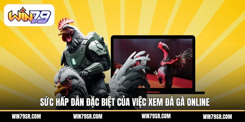 Sức hấp dẫn đặc biệt của việc xem đá gà online