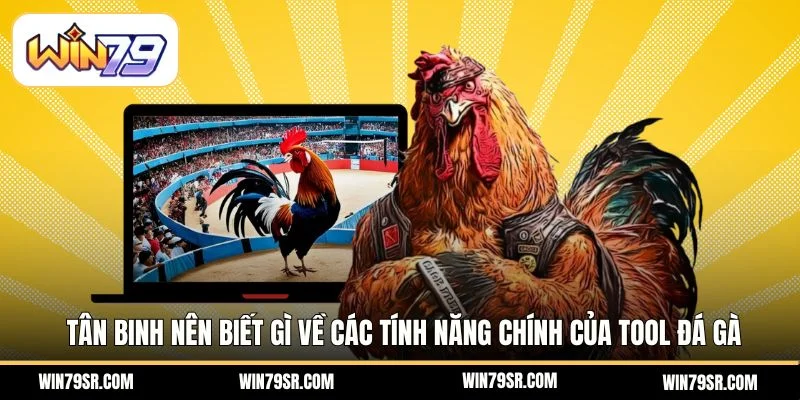 Tân binh nên biết gì về các tính năng chính của tool đá gà